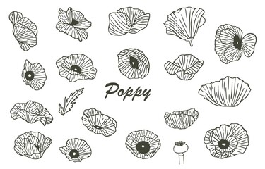 Black poppy flower outline.Vector illustration for icon,sticker,printable and tattoo