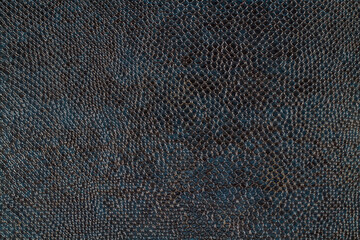 Background texture of artificial leather in dark blue tones.