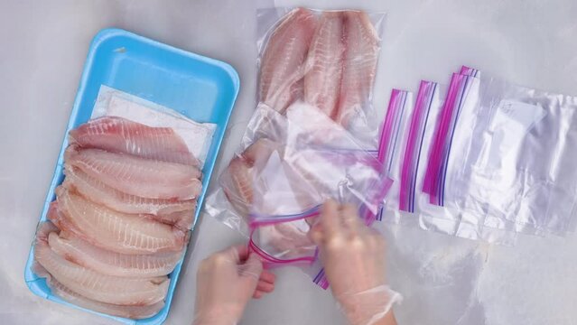 Woman hands put  fillet in zip lock bags for freezing. Fresh raw fish fillet in zip lock bags. Tilapia fillet on light marble background, close up. 
