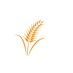 wheat logo vektor