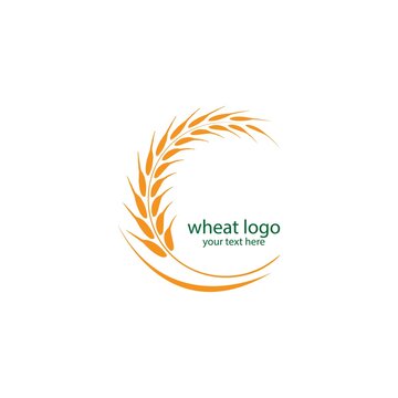wheat logo vektor