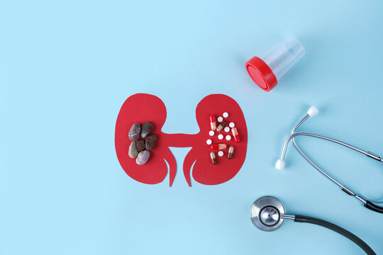 Kidney - human organs from paper on blue background. World kidney day and national organ donor day concept. Kidney stones and pills, medicines for treatment