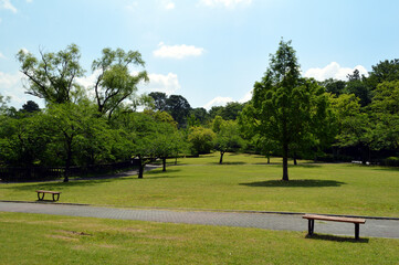 A park without people in the morning, the sun shines brightly on trees and the ground, and there are clouds in the blue sky.