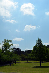 A park without people in the morning, the sun shines brightly on trees and the ground, and there are clouds in the blue sky.