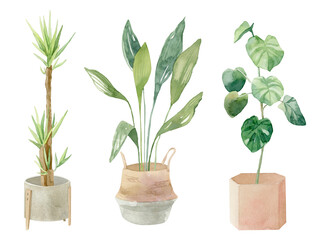 Different indoor and outdoor plants in pots - hand painted watercolor illustration - urban jungle. Perfect for invitations, cards, prints, posters.