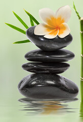 Composition aquatique zen, fleur de frangipanier et bambou sur galets noirs empilés 