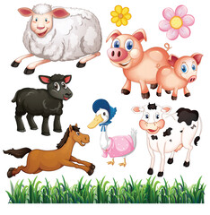 Cute animals cartoon set on white background
