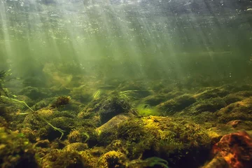 Fotobehang sun rays under water landscape, seascape fresh water river diving © kichigin19
