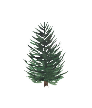 Watercolor Christmas tree, spruce suitable for postcards and clipart, isolated drawing