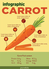 Carrot infographic template concept with four points list and icon symbol 