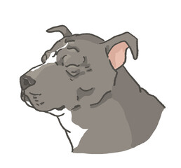 笑顔のピットブル