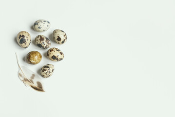 Obraz na płótnie Canvas Easter composition of quail eggs and a feather on a pale pastel background. Flat lay, copy space.