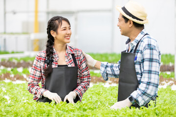 couple farmers talking and checking organic vegetables together in hydroponic farm