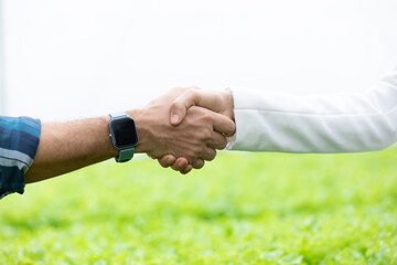 close up two businesspeople making handshake together on green and white natural background