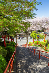 Fototapeta na wymiar 足立山妙見宮御祖神社と桜の風景　福岡県北九州市