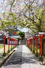 足立山妙見宮御祖神社と桜の風景　福岡県北九州市