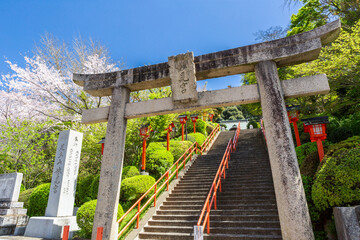 Fototapeta premium 足立山妙見宮御祖神社と桜の風景 福岡県北九州市