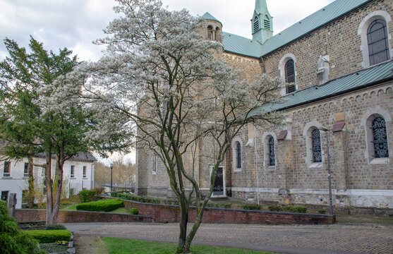Aachen Eilendorf: St.Severin mit baum