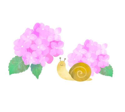 カタツムリ Images Browse 4 2 Stock Photos Vectors And Video Adobe Stock