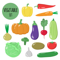 vegetable set , vector clipart pumpkin, potato, pepper, broccoli, cucumber, tomato, cabbage, onion, garlic, eggplant, squash, carrot. Vegetarian food, vegetable harvest.