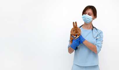 Young veterinary caucasian woman wearing blue uniform holding adorable pet rabbit on white background.Ill animal,rodent, medical treatment, cure concept.Copy space - obrazy, fototapety, plakaty