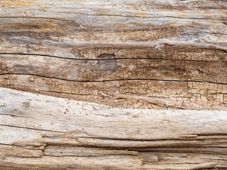 The background is a natural wood texture with scratches and cracks. Dark grunge background with...