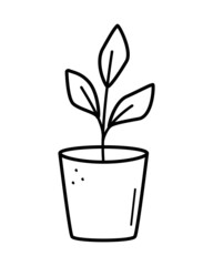 Seedlings in a pot, vector illustration of plants in a flower pot doodle style.
