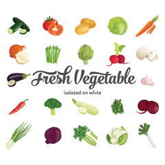 22 vegetable vector collection 