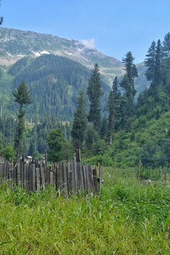 The Beauty Of Kashmir 