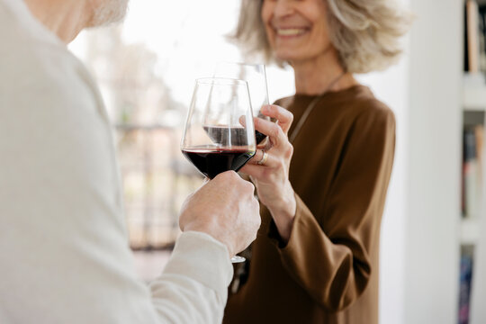 Senior couple toasting wineglasses at hotel apartment