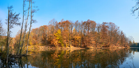Obraz premium Beautiful lake in autumn. The golden foliage of the trees is reflected in the blue water. Indian summer landscape