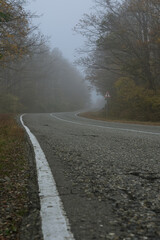 A country road winds its way through the fog in an autumn forest. Asphalt road and forest on a foggy morning. Mysterious landscape.