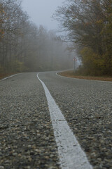 Bottom view center solid white line on a country road in a foggy forest. Asphalt road and autumn forest on a foggy morning. Mysterious landscape.