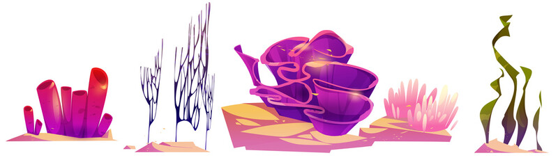 Corals and seaweed, ocean reef plants and animals. Vector cartoon set of tropical underwater marine life, sea fauna and alga. Corals, spirulina, aquatic flora isolated on white background © klyaksun