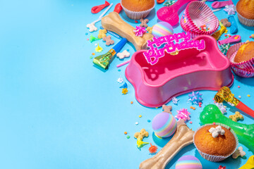 Pet happy birthday background with set different dogs snack, food and toys, bone-shaped dog bowl, birthday cupcakes with happy birthday candles and accessories. Flatlay on blue background top view