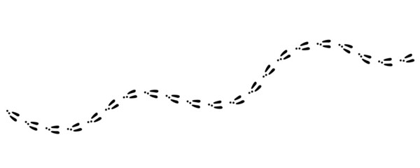 Rabbit or hare footprint trail. Bunny foot prints on snow. Rabbit paw steps. Hare steps track. Vector illustration isolated on white background in flat style.