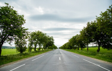 Fototapeta na wymiar Empty asphalt road through a green field and clouds on a blue sky on a summer day.