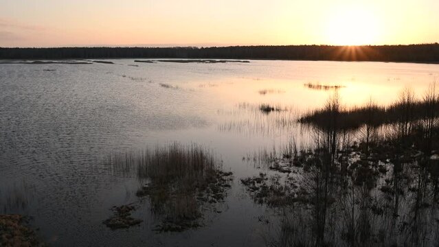 Novaraistis Ornithological Reserve in Lithuania. Wonderful protected place for thousands of birds to breed, live during migration. Amazing nature, birdwatching, peatland, marsh, biodiversity birdlife.