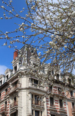 Fototapety na wymiar - Fototapeta24.pl