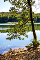 Wooded shore of Jezioro Gwiazdy lake in Bukowo Borowy Mlyn Village near Bytow of Pomerania in Kashubian region of northern Poland © Art Media Factory