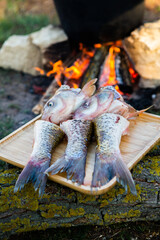 Fish soup prepared over an open fire. Cooking fish soup over an open fire in a kettle. Cooking in hiking tourism and fishing