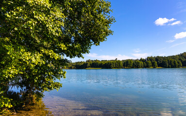 Wooded shore of Jezioro Gwiazdy lake in Bukowo Borowy Mlyn Village near Bytow of Pomerania in Kashubian region of northern Poland © Art Media Factory