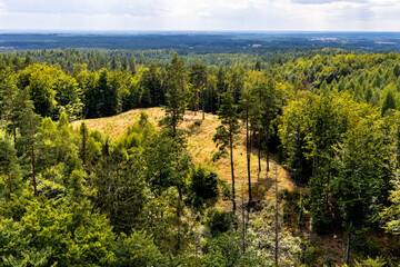 Panorama of summer forest hills and lake valleys of Kashubian landscape park seen from Wiezyca hill observation tower near Szymbark town in Pomerania region of Poland - obrazy, fototapety, plakaty