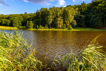 Panoramic view of Jezioro Wegleszynskie lake with wooded shores and surrounding hills in Ostrzyce village in Kashubia near Szymbark town in Pomerania region of Poland - obrazy, fototapety, plakaty