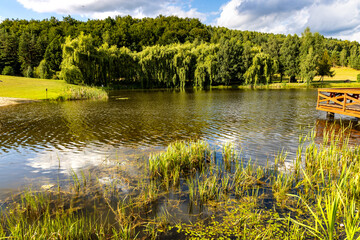 Obrazy na Plexi  Panoramic view of Jezioro Wegleszynskie lake with wooded shores and surrounding hills in Ostrzyce village in Kashubia near Szymbark town in Pomerania region of Poland