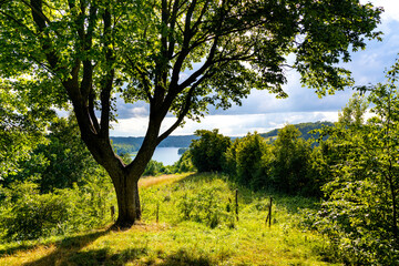 Panoramic view of Jezioro Ostrzyckie lake with shores of forest seen from Jastrzebia Gora Hawk Mountain in Ostrzyce village of Kashubia in Pomerania region of Poland - obrazy, fototapety, plakaty