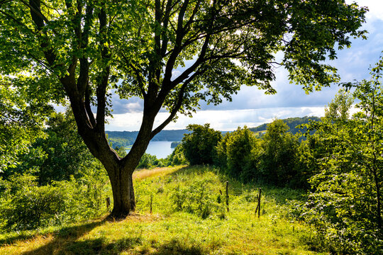 Panoramic view of Jezioro Ostrzyckie lake with shores of forest seen from Jastrzebia Gora Hawk Mountain in Ostrzyce village of Kashubia in Pomerania region of Poland