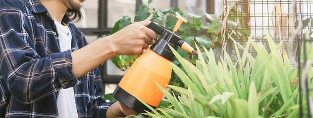 Hand of asian young gardener man, male holding water sprayer pouring water plants with a spray in free time activities, sunshine in morning at home, apartment balcony. Lifestyle, hobby people concept.