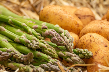 Green asparagus and potatoes on straw