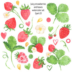 Juicy strawberry watercolor design elements set. Bright red berries and green leaves, strawberry flowers. Botanical illustration. For packages, cards, logo. Summer sweet and berries. Isolated on white